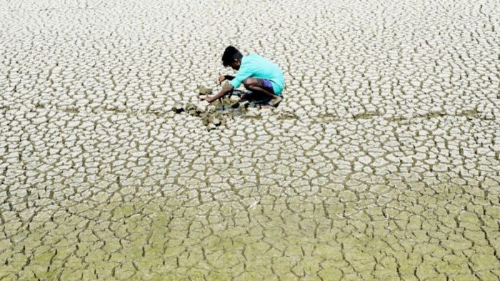 Un camino para luchar contra la desertificación y la sequía