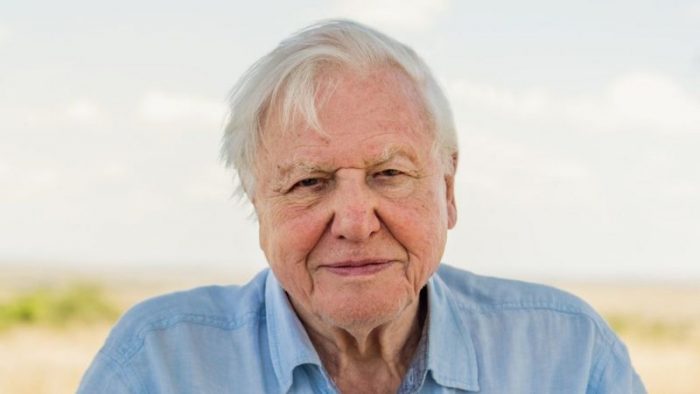 La advertencia de David Attenborough antes de que sea «demasiado tarde» para salvar al planeta