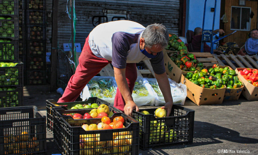 ¿Hay que transformar los sistemas agroalimentarios?