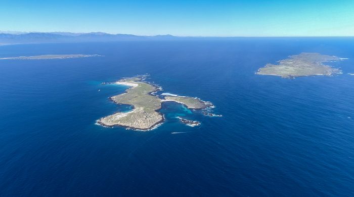 El área marina protegida que pondría contra las cuerdas a los proyectos de megapuertos de Dominga y Cruz Grande