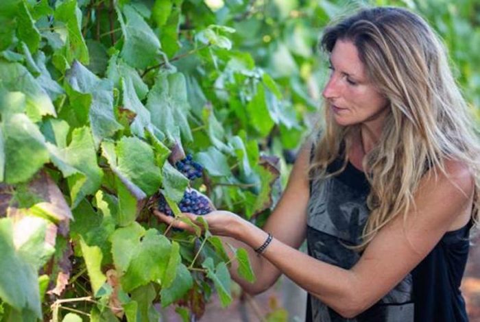 Enóloga Viviana Navarrete: «La porfía que tengo con los vinos es la búsqueda de representar bien su lugar»