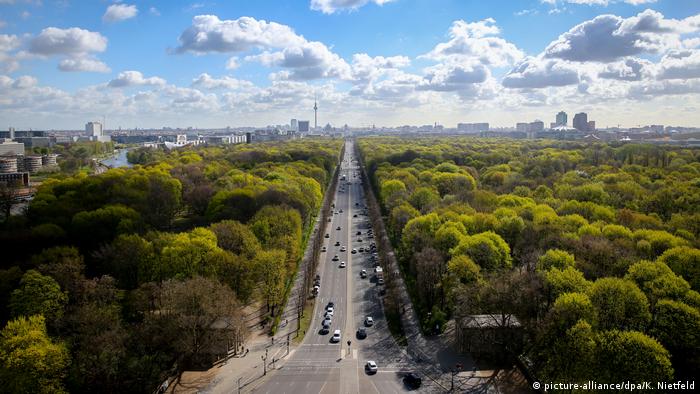 Los árboles situados en espacios urbanos ayudan a enfriar las ciudades, sugiere estudio
