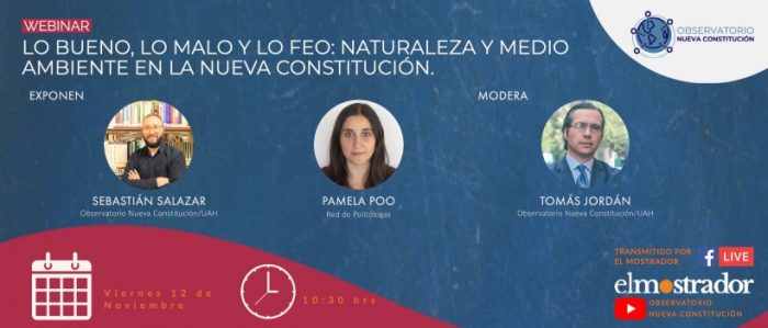 Webinar Observatorio nueva Constitución: Naturaleza y medio ambiente en la nueva Constitución