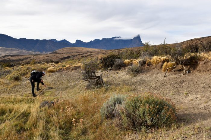 Científicos expusieron sobre vida de nómades prehistóricos en Cerro Guido de la Patagonia