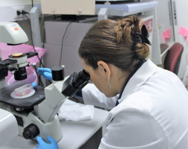 ¿Becas de postgrados sin destino? Una de las deudas pendientes de la política científica chilena