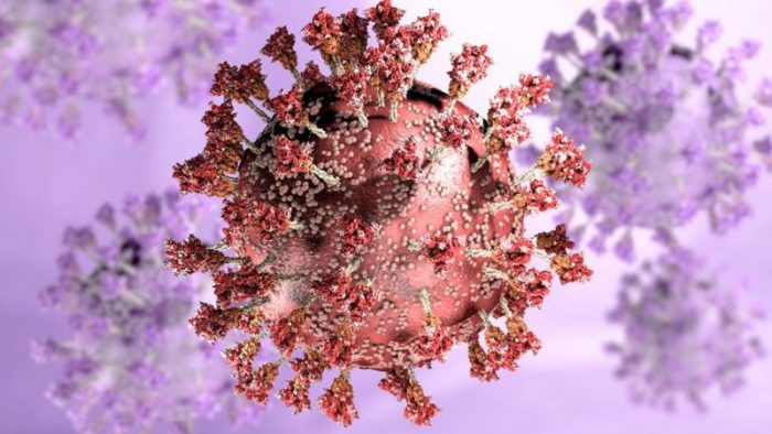 Ómicron: la nueva variante aumenta el riesgo de reinfección por coronavirus, según un estudio preliminar en Sudáfrica