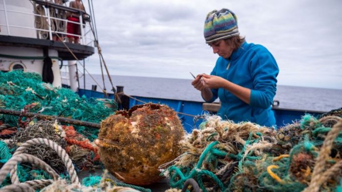 Las especies que han colonizado la gigantesca «isla» de plástico que flota en el Pacífico