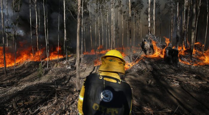13 incendios forestales en combate en el país:  O’Higgins, Ñuble, La Araucanía y Los Lagos son las regiones afectadas