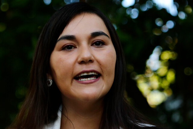 Conflicto mapuche en la zona sur: Izkia Siches llama a dialogar con «todos los actores, incluso con la CAM»