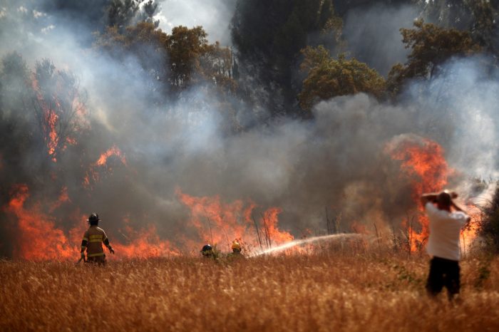 Onemi: incendios forestales han consumido más de 17 mil hectáreas