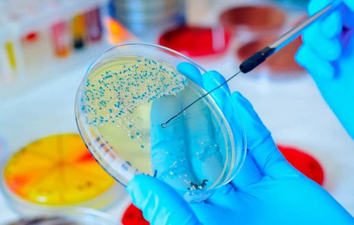 Nueva Constitución: microbiología y enfermedades infecciosas