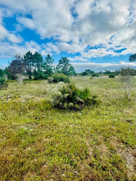 Ventajas de comprar un terreno en vez de un departamento en Estados Unidos