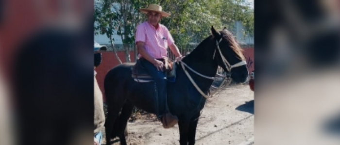 Hombre fue a votar a caballo en Quillota: aludió a «falta de locomoción»