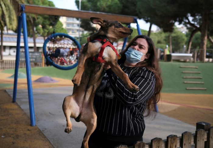 España: bienestar de las mascotas se considerará en los divorcios
