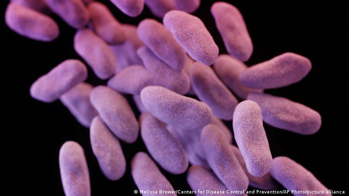 La «pandemia» de la resistencia a antibióticos mata a más personas que la malaria o el sida, según estudio