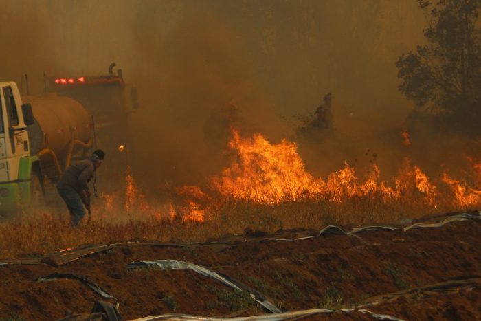 Onemi decreta alerta roja por incendio forestal en Melipeuco