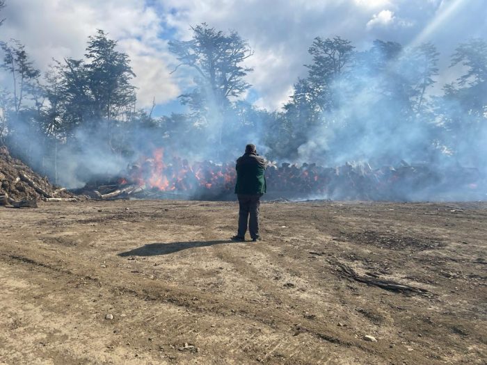 Incendio forestal en Tierra del Fuego quema bosques nativos más australes del mundo y amenaza al Parque Natural Karukinka