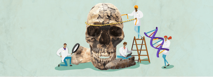 Cómo la genética está reconstruyendo la fascinante travesía de los primeros humanos a América
