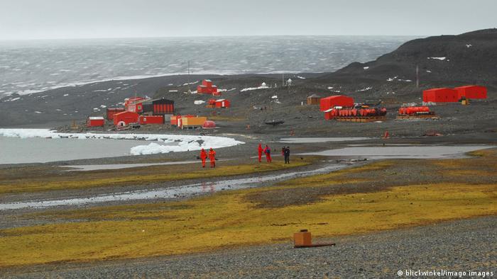 El cambio climático está acelerando el crecimiento de las plantas en la Antártida