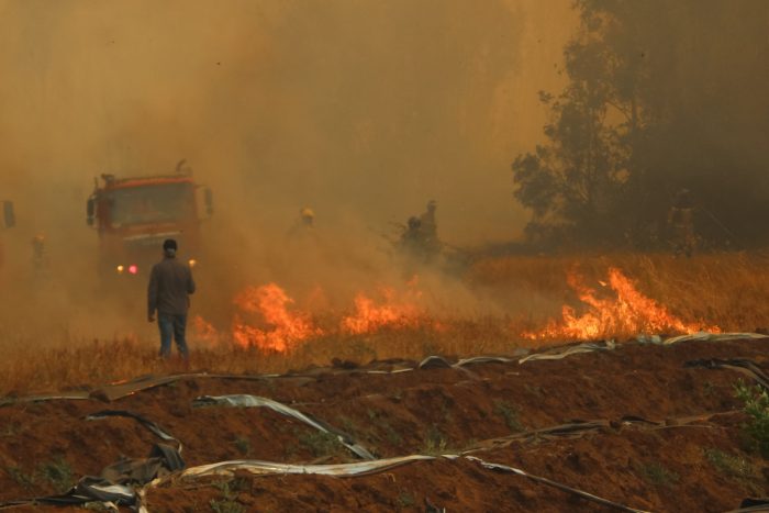 33 incendios forestales a nivel nacional se encuentran activos