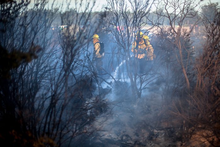 Conaf informó que incendio forestal en Timaukel se encuentra contenido y declara alerta amarilla en el sector