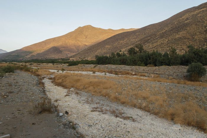 Petorca, comuna azotada por la escasez hídrica, rechazó la propuesta de nueva Constitución 