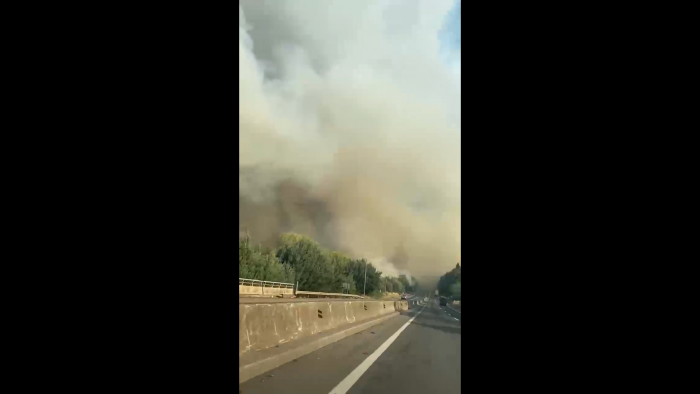 Conaf decreta alerta roja para Collipulli por incendio forestal que amenaza a las viviendas