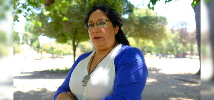 Luz Vidal Huiriqueo, dirigenta sindical, mapuche y feminista: conoce a la nueva subsecretaria de la Mujer y la Equidad de género