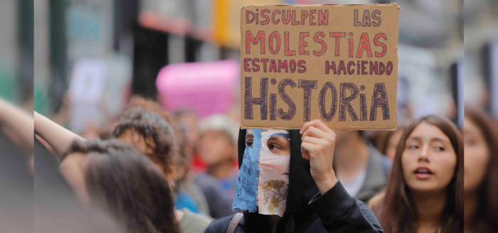 ‘‘Nos costó lágrimas’’: la experiencia latinoamericana sobre la inclusión de normas con perspectiva de género en procesos constituyentes