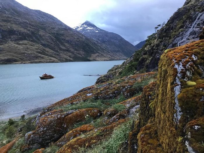 Vegetación altoandina al sur del mundo es la más vulnerable frente al cambio climático