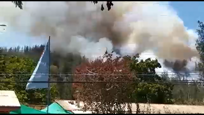 Incendio forestal afecta a la comuna de Casablanca: fuego se encuentra cercano a la Ruta 68