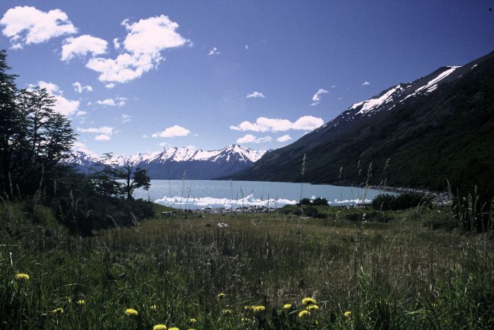 Informe recomienda prohibir actividades industriales en Áreas Protegidas de la Patagonia chilena