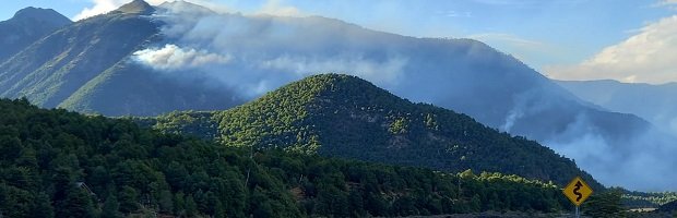 Conaf informó que incendio forestal que afecta a Reserva China Muerta ha arrasado con 180 hectáreas: no ha ingresado al Parque Nacional Conguillío