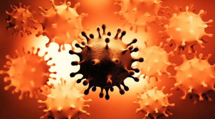 Los virus que pueden permanecer escondidos en el cuerpo y causar problemas décadas después (y qué pasa con el coronavirus)