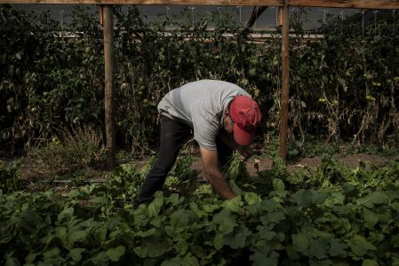 Boric destaca la necesidad de que Chile fortalezca su soberanía alimentaria