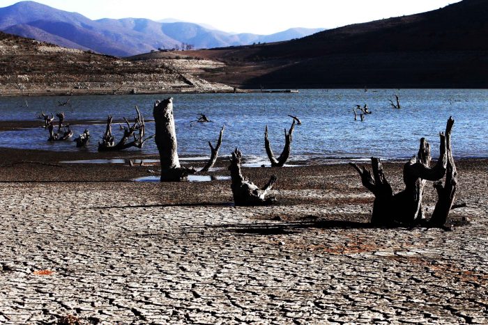 Científico chileno: “Me puedo imaginar una crisis en que el agua no alcance para satisfacer necesidades básicas”