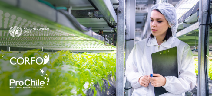 Lanzan plataforma para recuperar los trabajos perdidos de mujeres durante la pandemia