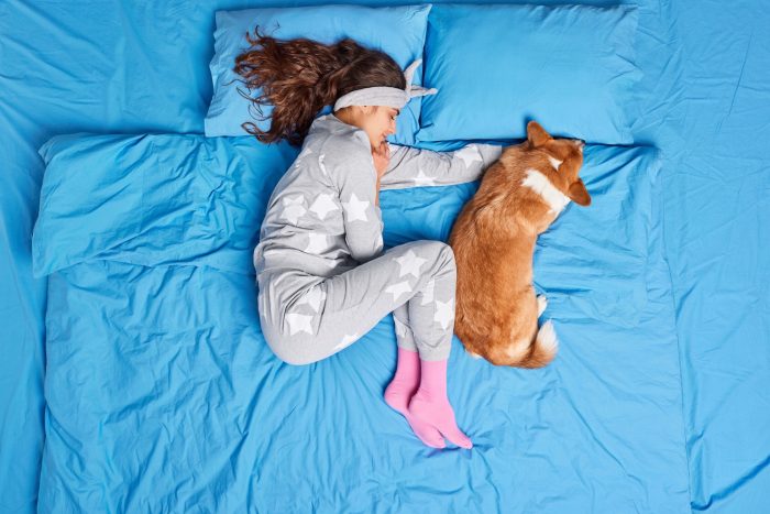 Desde poner límites hasta desparasitar: consejos para dormir de modo saludable con mascotas