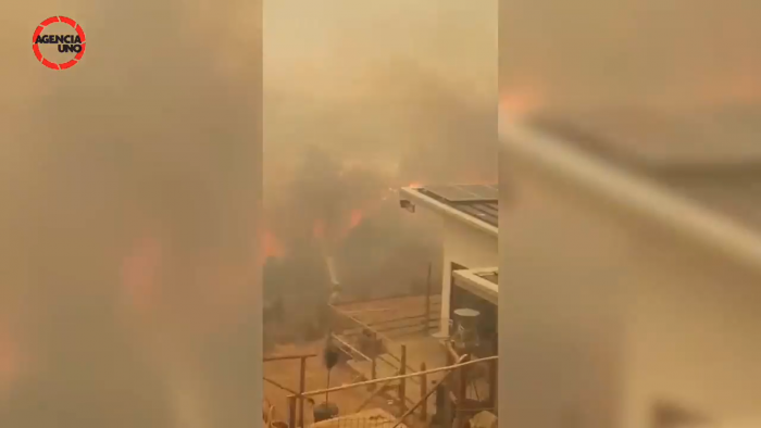 Continúa fuera de control incendio forestal que afecta a las comunas de Penco y Tomé: 550 hectáreas se han visto afectadas y el fuego amenaza a las viviendas