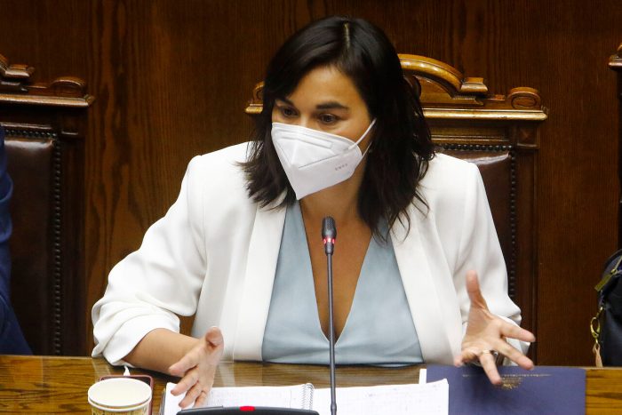 Ministra Izkia Siches tras críticas desde Argentina por usar palabra «Wallmapu»: «El término está enfocado en nuestro territorio nacional”