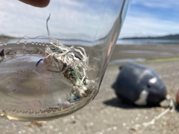 Científicos medirán contaminación por microplásticos y toxinas en mar frente a Chiloé