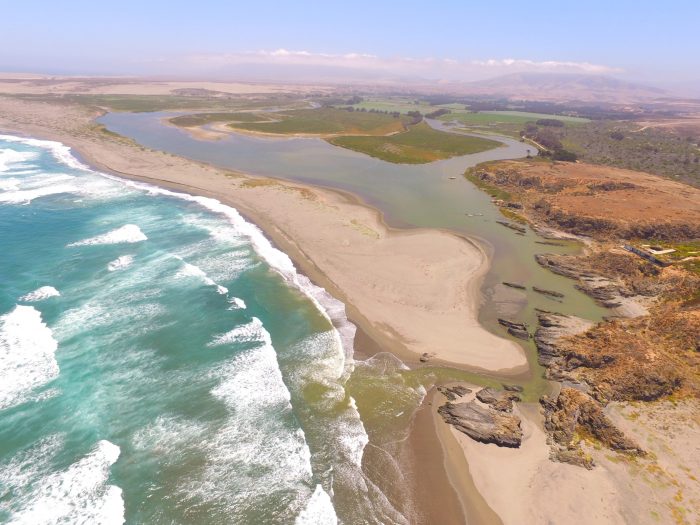 Humedales de Huentelauquén reciben reconocimiento internacional