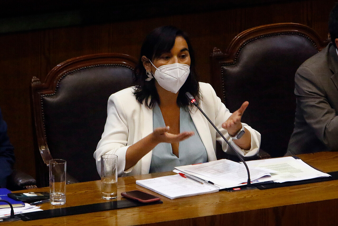 Ministra Siches descarta presentación de querella por frustrada visita a Temucuicui: dice que Fiscalía ya «actuó de oficio»