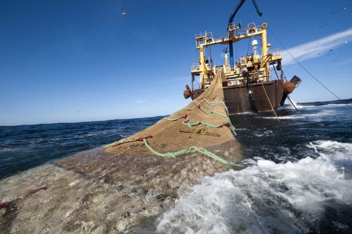 Premios “Nobel del medioambiente”: “La mejor solución para los océanos es no pescar en alta mar”