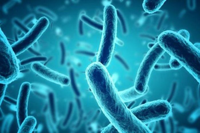 Investigador chileno trabaja en nuevas terapias antibacterianas
