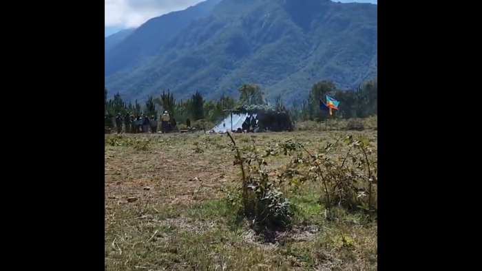 Denuncian violenta toma de un fundo en Alto Biobío por parte de un grupo indígena