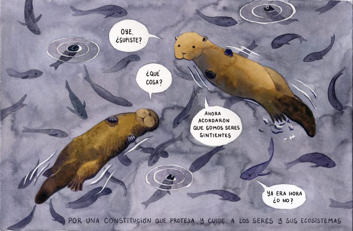 Ilustradora Antonia Bañados publica ilustración sobre derechos de animales en nueva Constitución