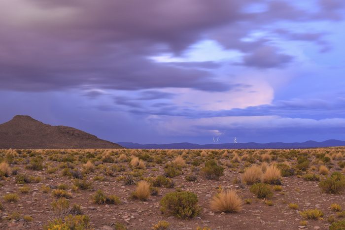 Fotógrafo iquiqueño publica libro con imágenes del altiplano