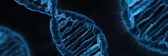Científicos chilenos buscan nuevos objetivos terapéuticos para enfermedades genéticas raras
