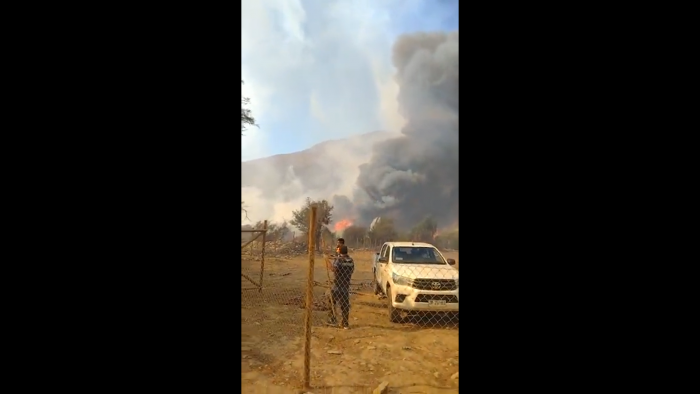 Declaran Alerta Roja en la comuna de Monte Patria por incendio forestal: al menos cinco casas han sido afectadas por las llamas